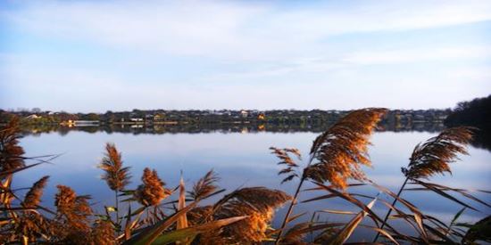 Balta Branesti/Ilfov, Ilfov